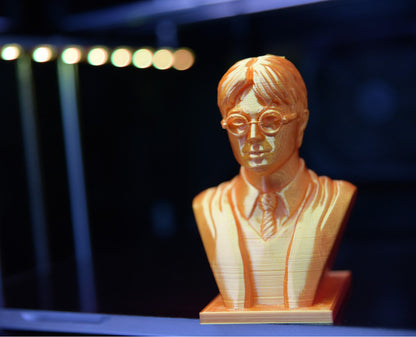 Harry Potter Bust 12 cm