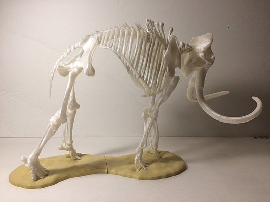 Mamut Iskeleti Heykel 20 Cm