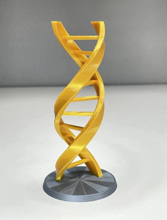 Dna Modeli Sarmal