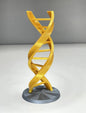 DNS-Modell Helix