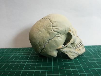Menschlicher Totenkopf Figur 15 cm