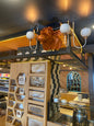 Wand-Stierbüste für Steak House - Bauernhof - Restaurant 1 Stück (Echter Stierkopf B