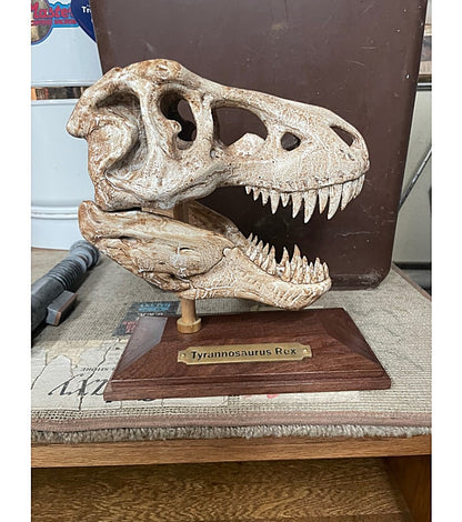 T-Rex-Schädelfigur 20 cm