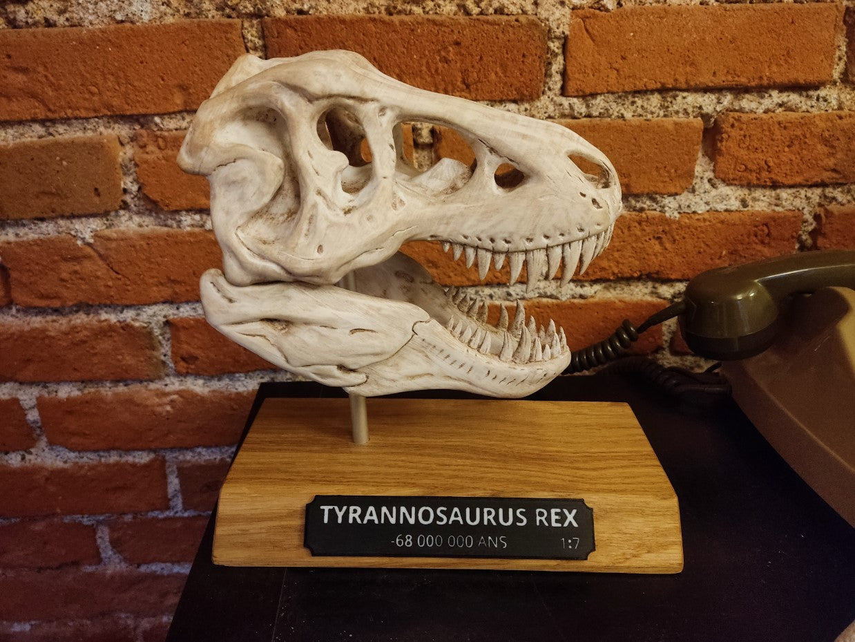 T-Rex-Schädelfigur 20 cm