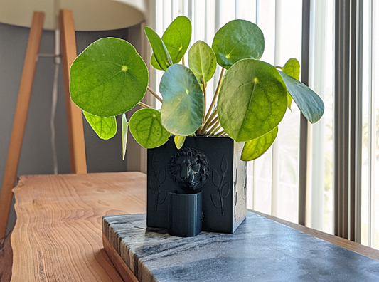 Lion Face Decorative Pot 10 Cm