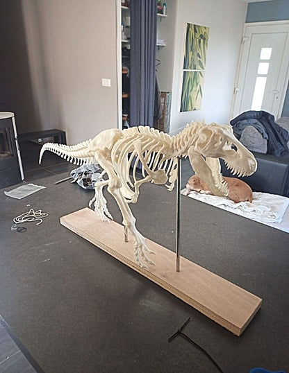 T-Rex Realistisches Skelett Deko Groß