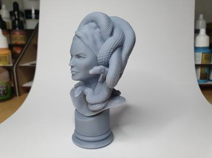 Schöne Medusa Büste 12 cm