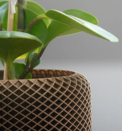 Costly Dekorative Elegante Vase & Übertopf (Aus Kunststoff, 10 cm Höhe, 16 cm Durchmesser)