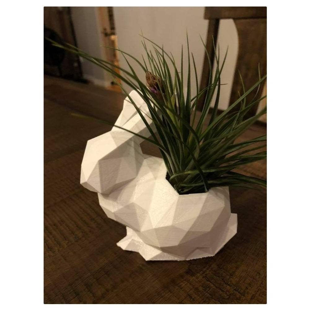 Polygonaler Hasentopf