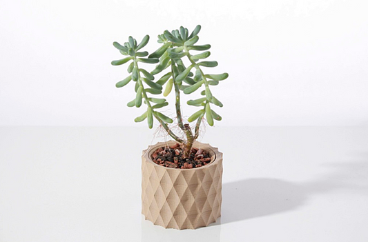 Set of 3 Succulent Pots (10 cm Diameter)