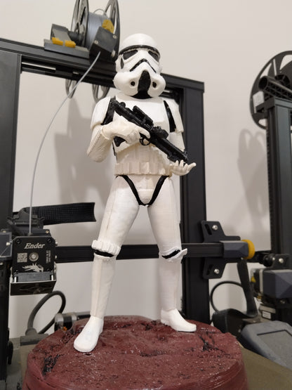 Stormtrooper Action Star Wars Handbemalte Figur 25 cm (Riesenformat)