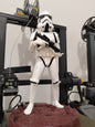 Stormtrooper Aksiyon Star Wars Boyalı Figür 25 Cm (Dev Boy)